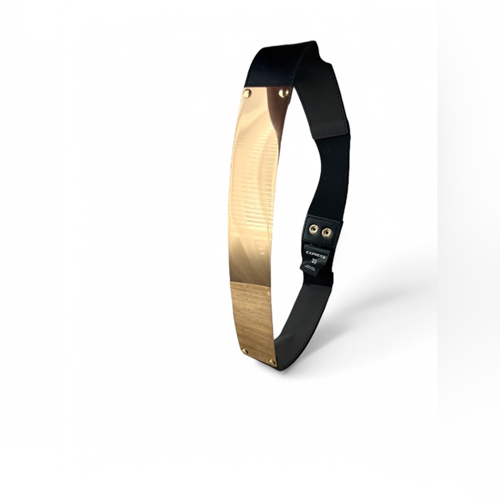 EXPRESS Elastic Belt with Gold Metal Plate Accent (Size M/L)